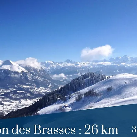 Apartment Homey Marble - Au Pied Du Tram / Proche Centre / Balcon Prive / Wifi Gratuit